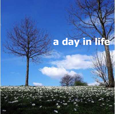 A Day in Life